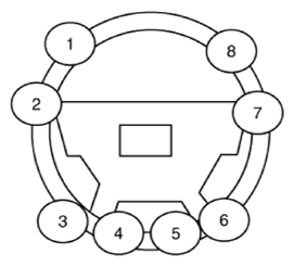 G13304641