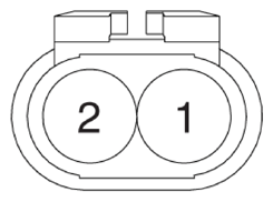 G13307185
