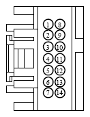 G13340562