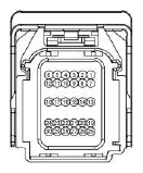 G13340796