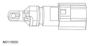 G13343482