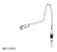 G13343502