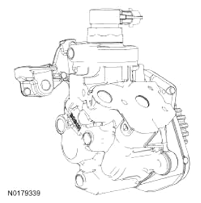 G13343529