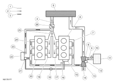 G13343586