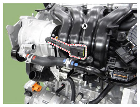 G13348398