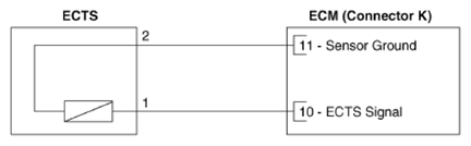 G13348754
