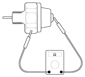 G13361345