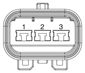 G13361751