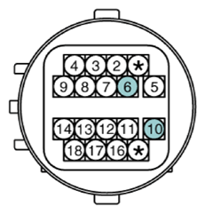 G13361991
