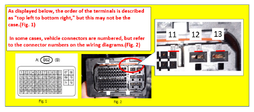 G13373624