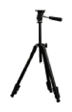 G13377213