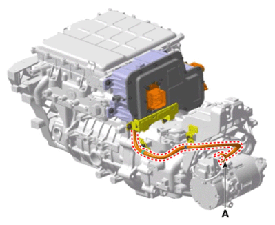 G13377247
