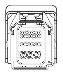 G13379267