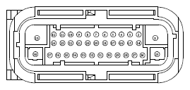 G13379275