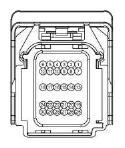 G13379276