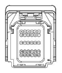 G13379300