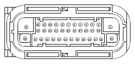 G13379307