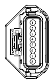 G13379319