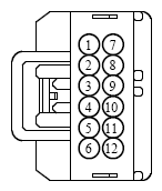 G13379331