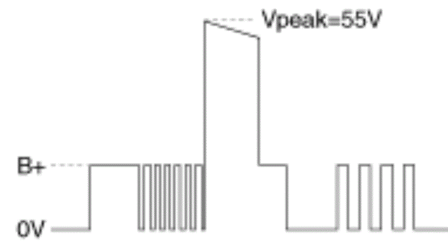 G13388025