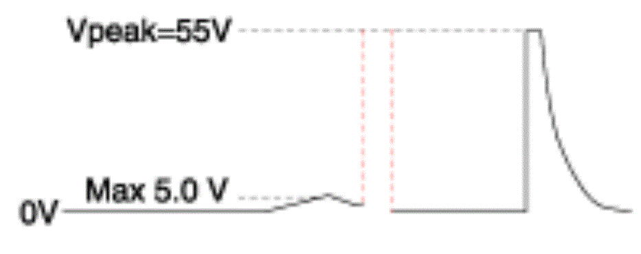 G13388026