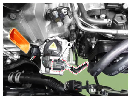 G13388513