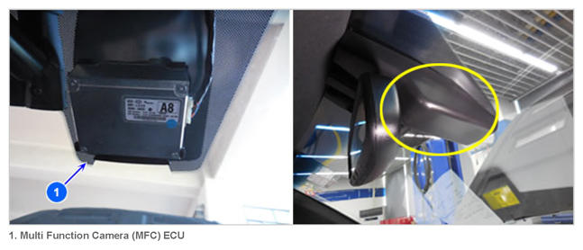 G13396927