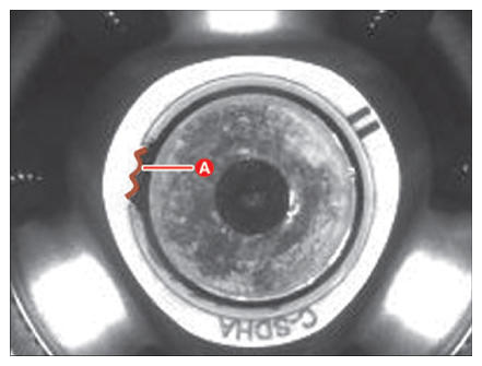 G13424409