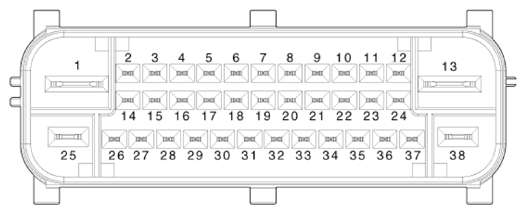 G13424511
