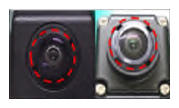G13426194