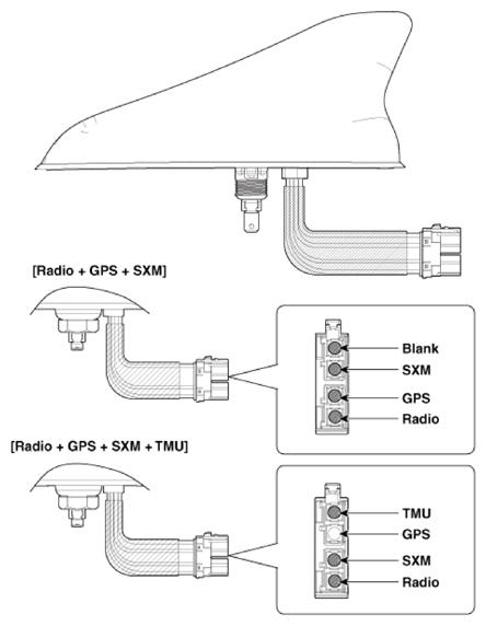 G13426249