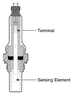 G13428162