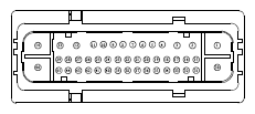 G13433425