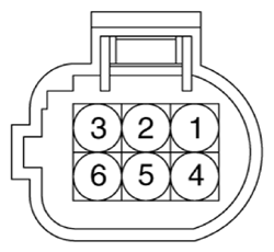 G13436648