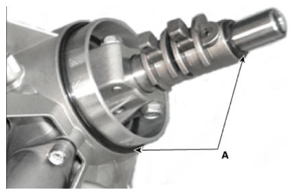 G13436958