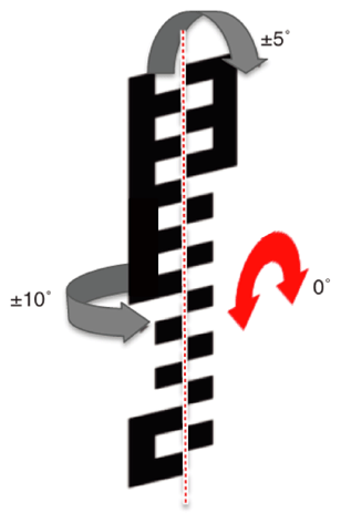 G13439361