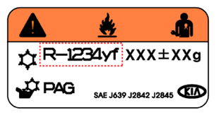 G13479999