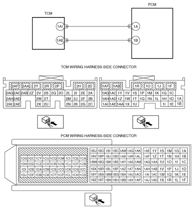 G13489096