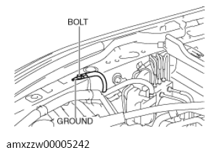 G13489306