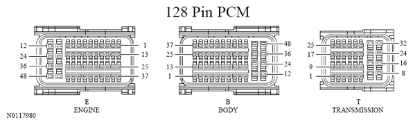 G13533357
