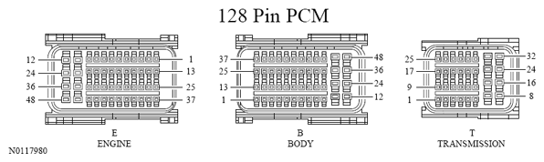 G13533362