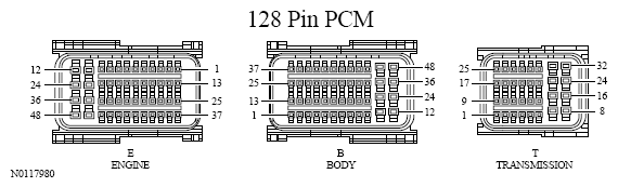 G13533466