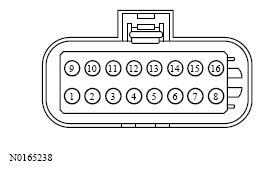 G13533653