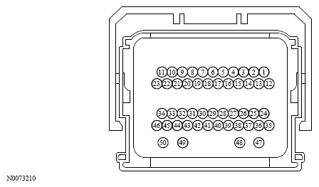 G13533671