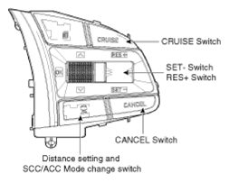 G13539213