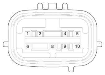 G13539218