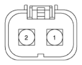 G13539458