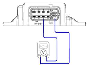 G13539589