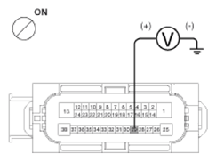 G13549036