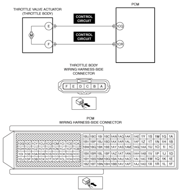 G13556191